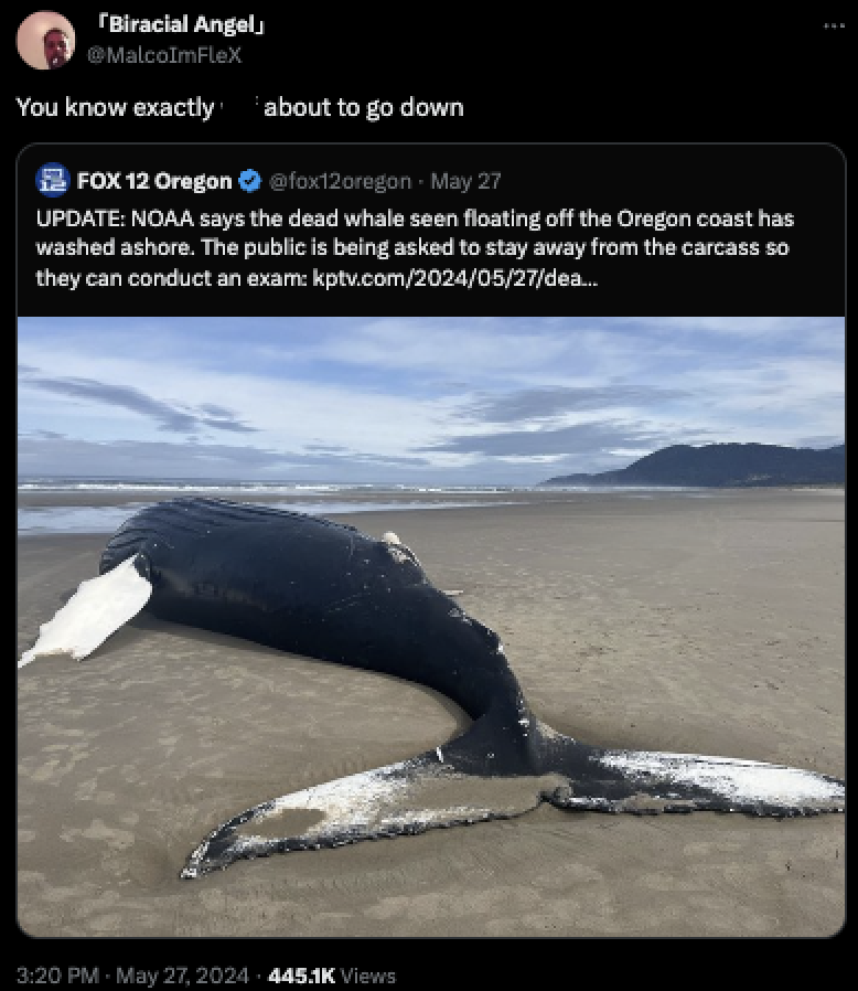 Nehalem Bay State Park - "Biracial Angelj You know exactly about to go down Fox 12 Oregon . May 27 Update Noaa says the dead whale seen floating off the Oregon coast has washed ashore. The public is being asked to stay away from the carcass so they can co
